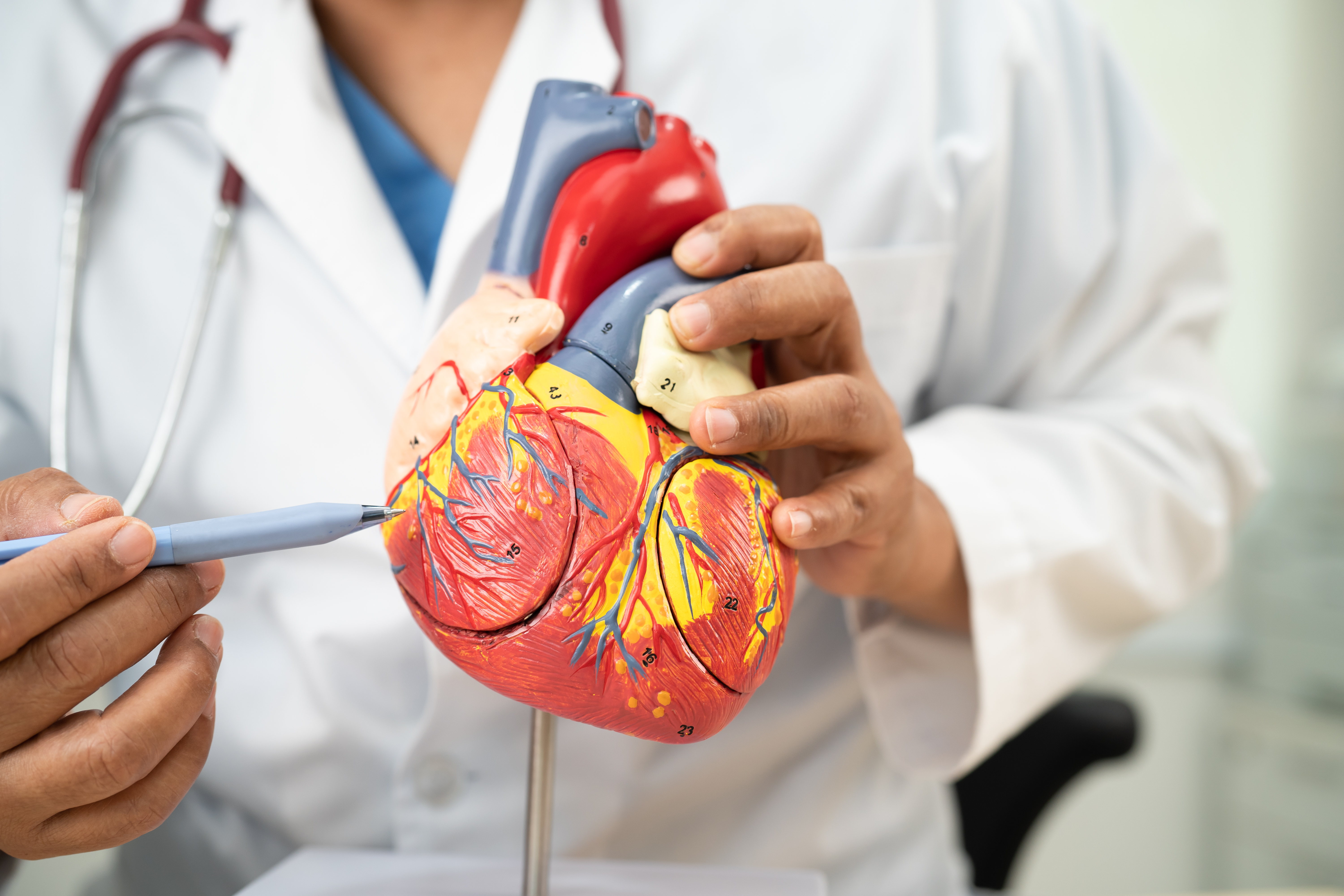 Top 10 Best Cardiology Hospital