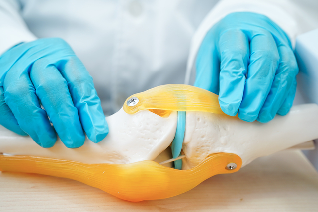 Knee Replacement Surgery Cost in India