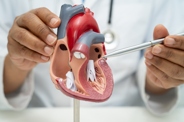 Heart Specialist Hospital in India