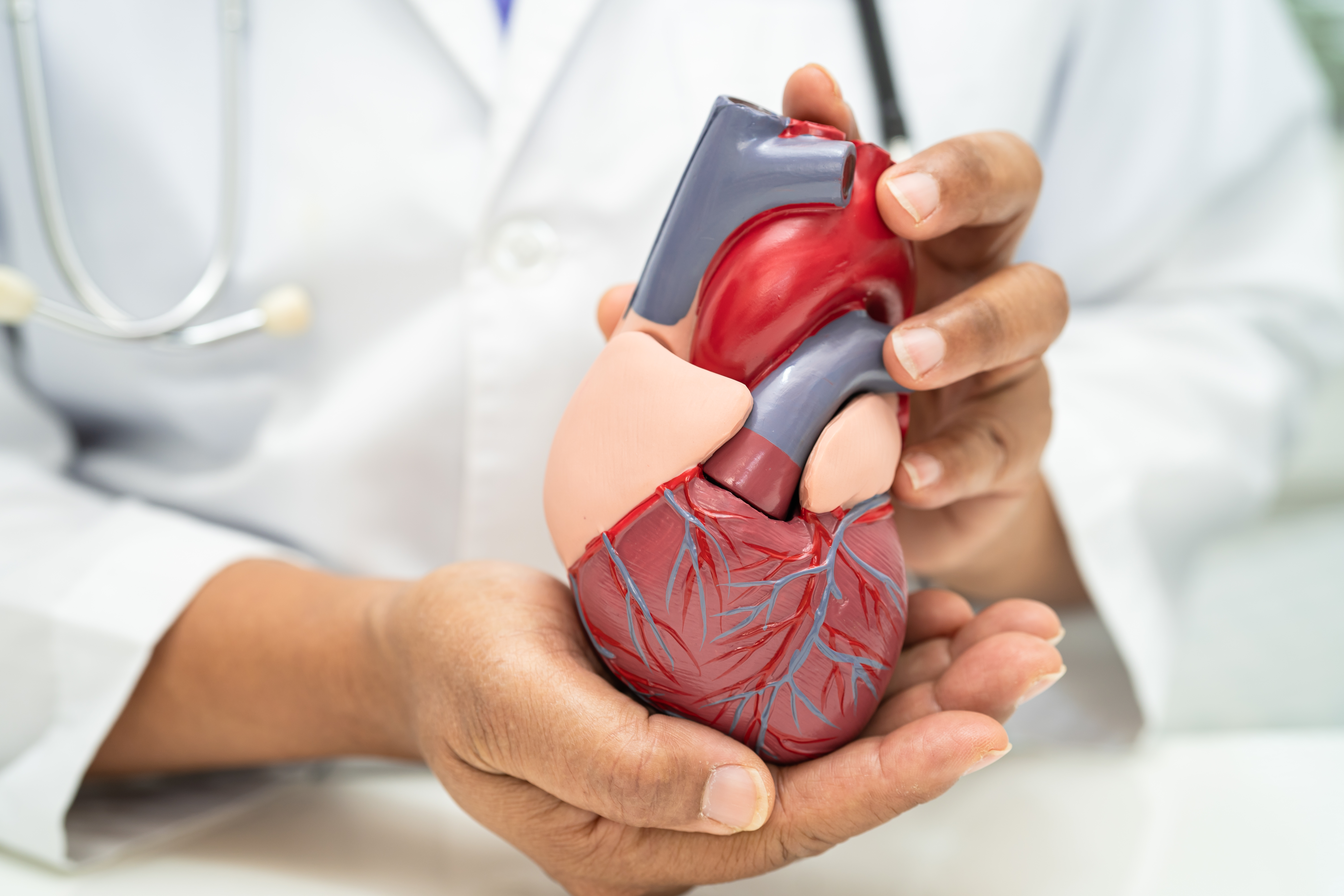 How to Choose the Best Cardiology Hospital in India